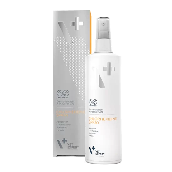 Spray Chlorexidine 100 ml