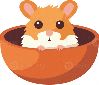 menu item image