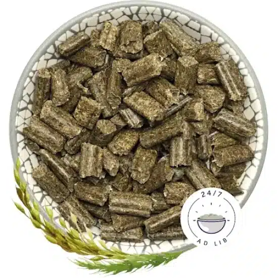 Bunny Nature Rabbit Dream Basic 1.5kg - Image 2